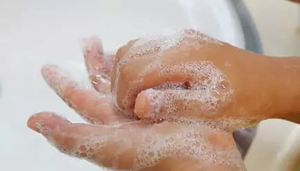 비누 종류 관계없이 20초 손 씻기 독감 예방에 최고...찬물도 괜잖아