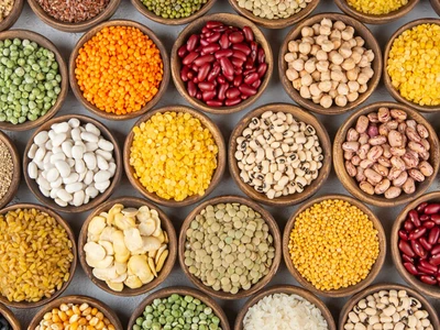 장 건강을 살리는 영양소… ‘저항성 전분’의 힘