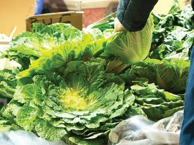 “몸에 좋다길래 따라했다가”… SNS 난리 ‘봄동비빔밥’의 함정