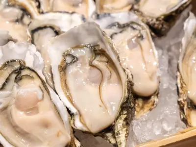 조지아 판매 굴∙조개 리콜 명령