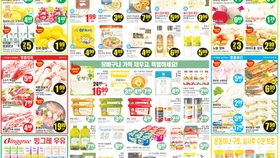 〈한인마트정보〉봄기운 담은 초록 한 입 봄동 비빔밥…한인마트 야채 코너